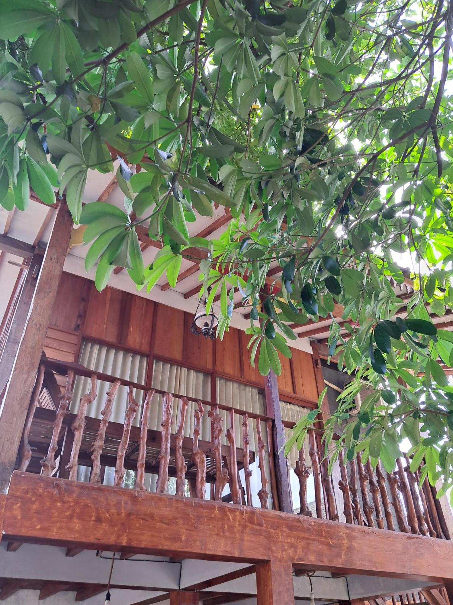 Diana'S Homestay Banyuwangi  Esterno foto
